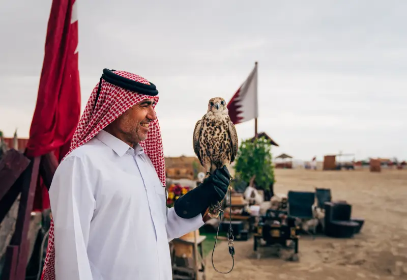 Falcon in souq waqif