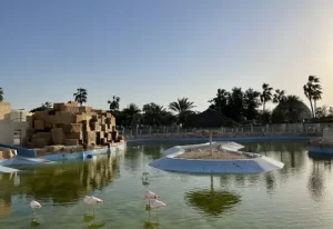 Al khor park and zoo doha