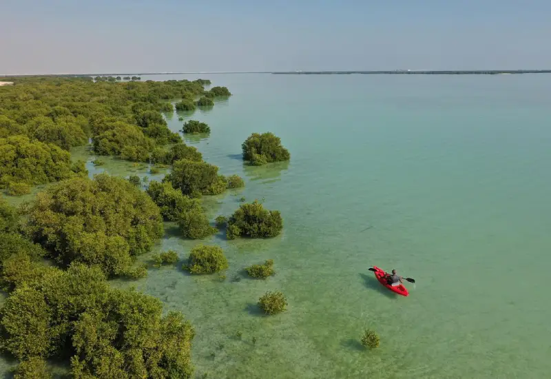 Purple Island Kayak