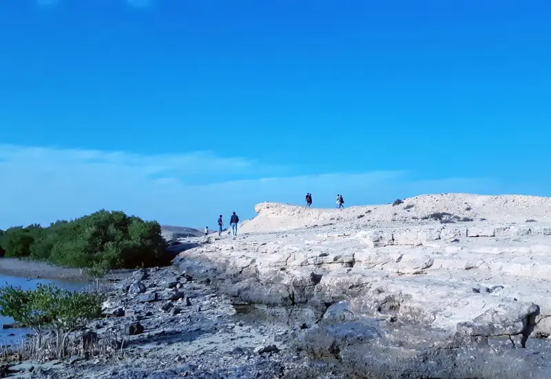 Purple island beach