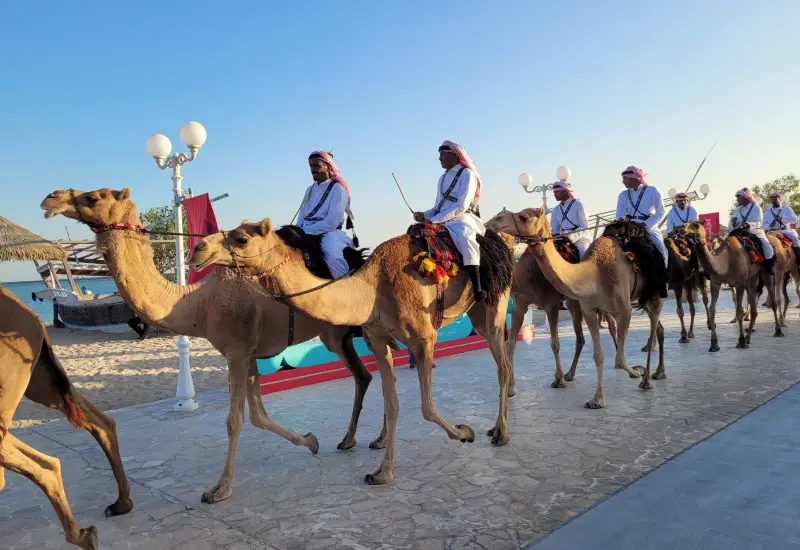 souq wakrah qatar