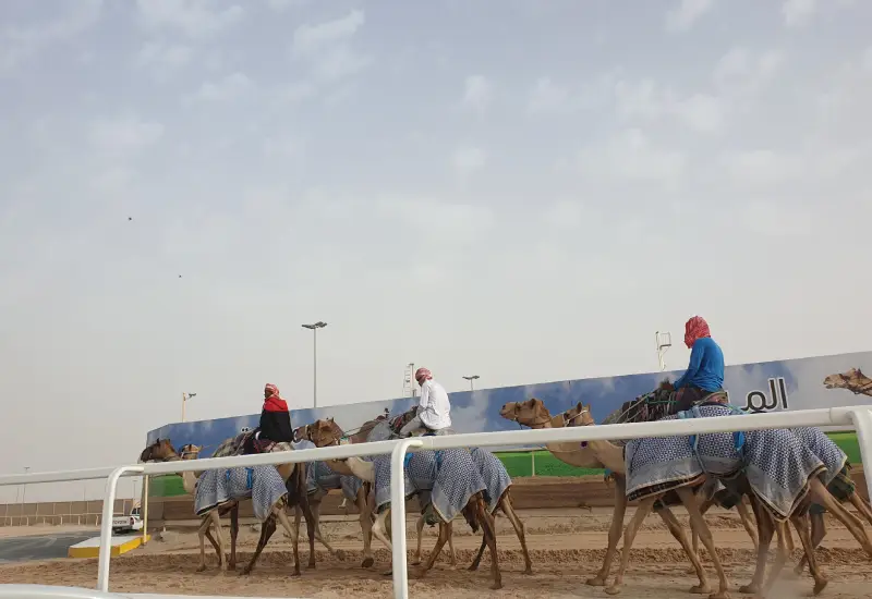 Shahaniyah Camel Race Track LIMITED