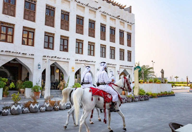 arabian horse photos