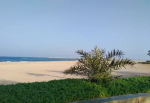 dukhan beach