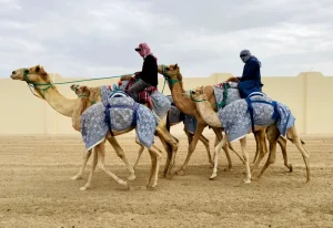 Al Shahania Bedouin Journey