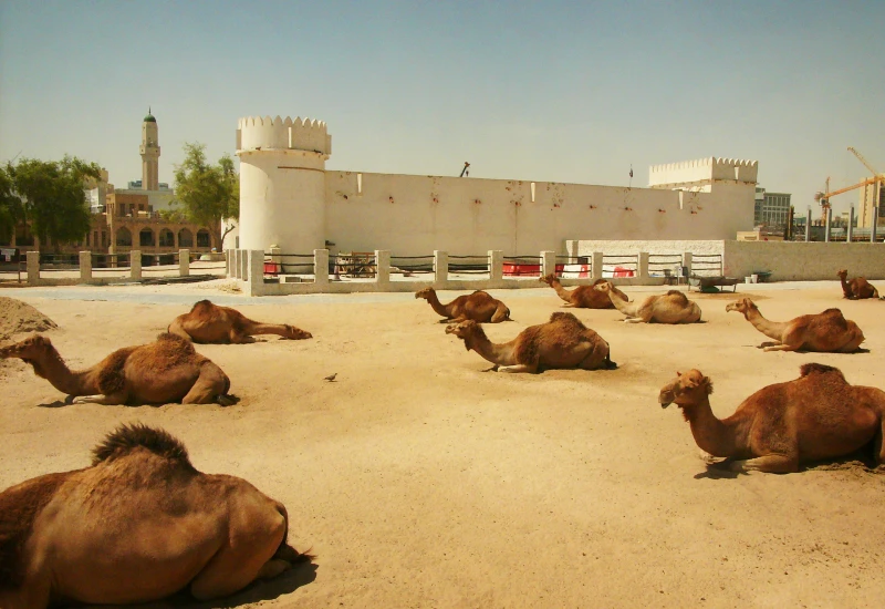 Al Koot Fort in Qatar