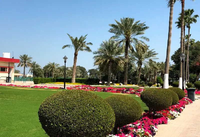 Al Wakrah Park photos