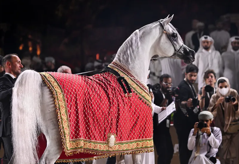 Global Champion Arabian Tour