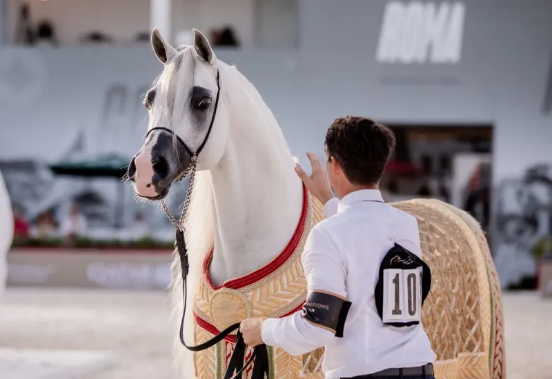 Global Champions Arabians Tour