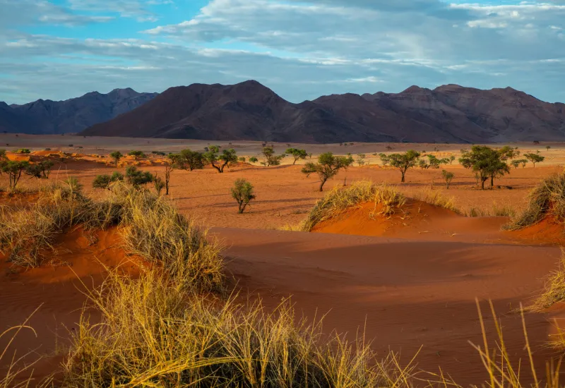Namib Desert Namibia