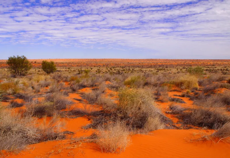 Simpson Desert