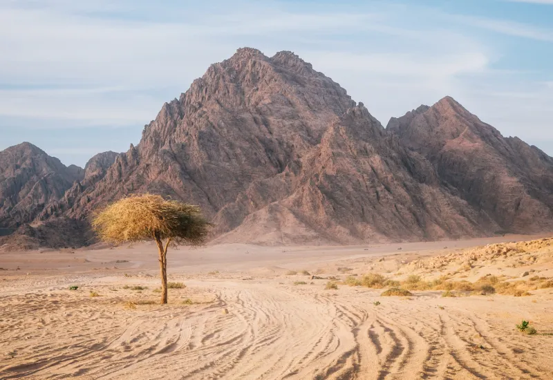 Sinai Desert Egypt