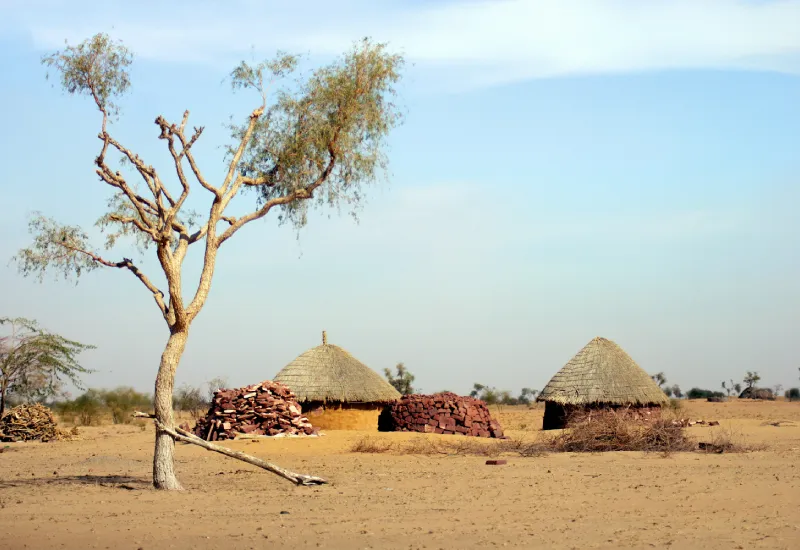 Thar Desert India