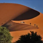 Top 10 Desert Safari Destinations in the World