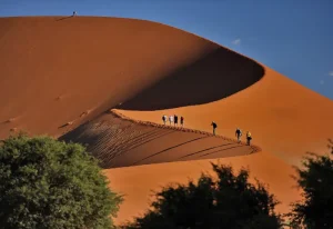 Top 10 Desert Safari Destinations in the World
