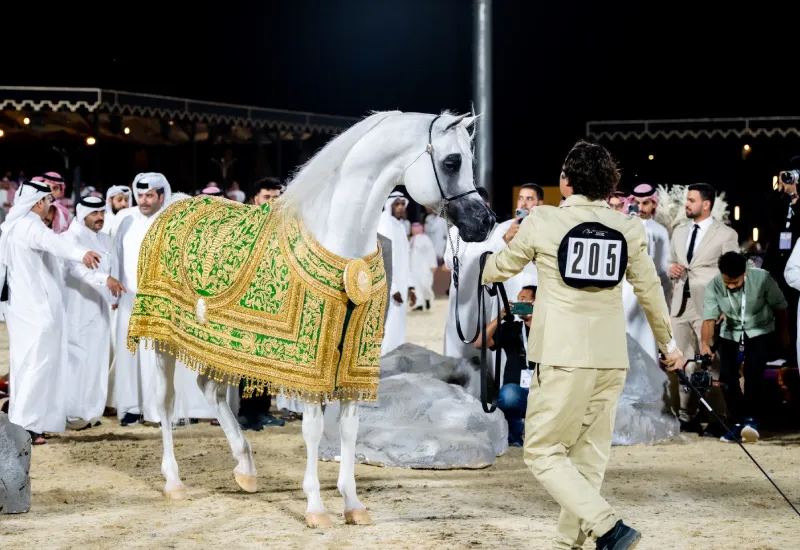 global champions arabians tour qatar